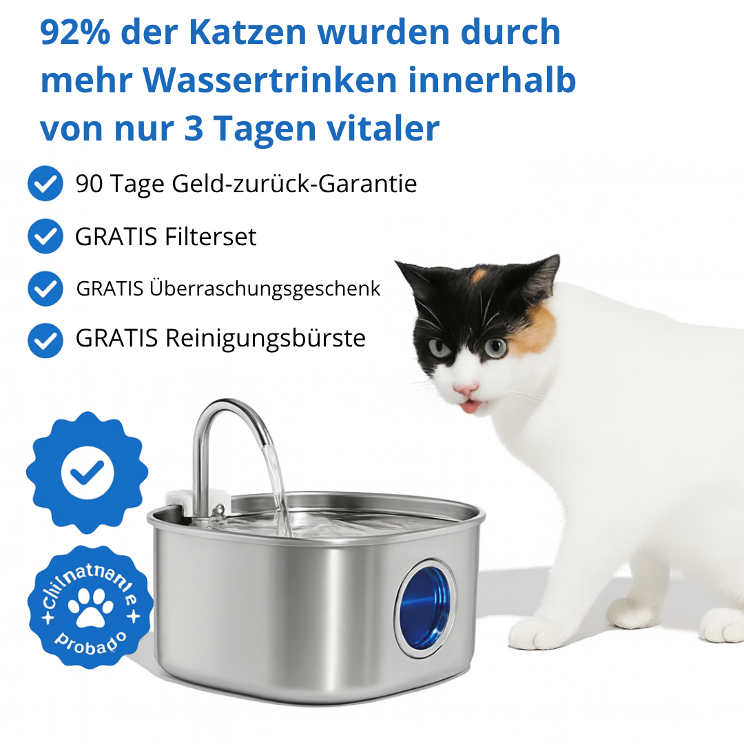 Keep Your Cat Safe from Dehydration and Painful UTIs — with RagnaTek™