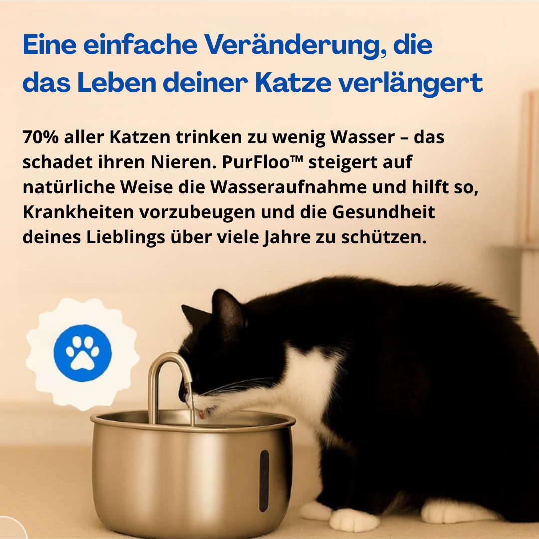 Keep Your Cat Safe from Dehydration and Painful UTIs — with RagnaTek™