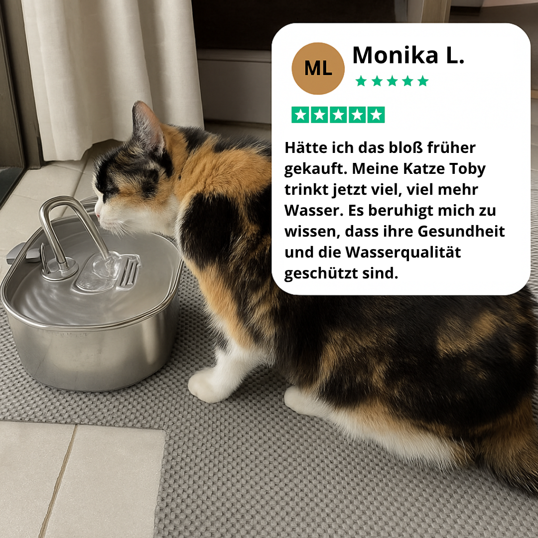 Keep Your Cat Safe from Dehydration and Painful UTIs — with RagnaTek™