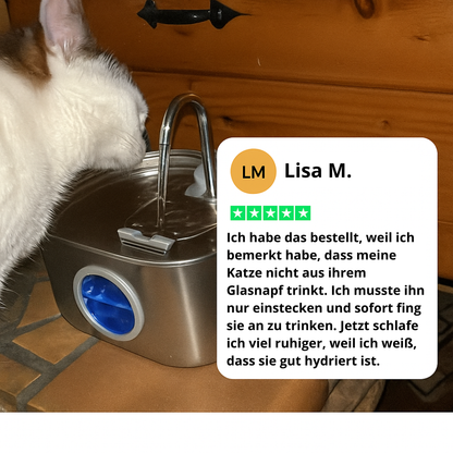 Keep Your Cat Safe from Dehydration and Painful UTIs — with RagnaTek™