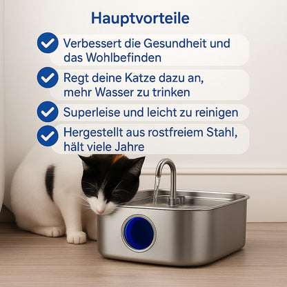 Keep Your Cat Safe from Dehydration and Painful UTIs — with RagnaTek™