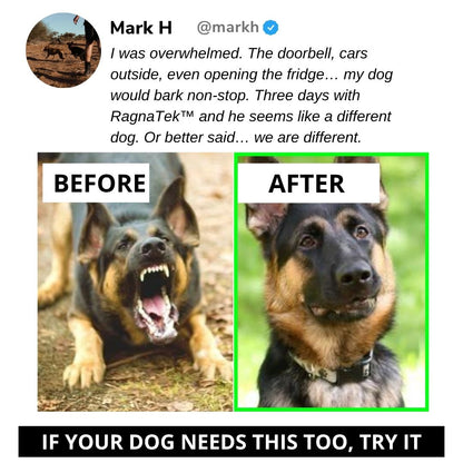 BarkBreaker ™ | Peace and Quiet in Your Own Home