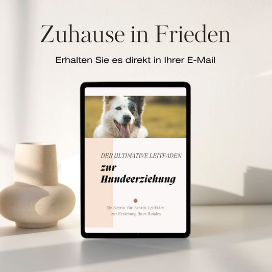 Gentle Dog Training Guide